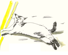 Illustration of a cat in the road